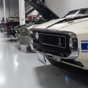 Meet your Posher, Bryce